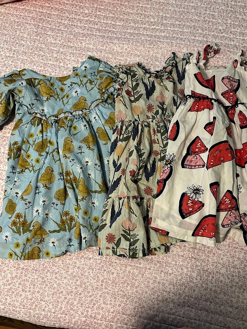 Pink Chicken Lot 5y